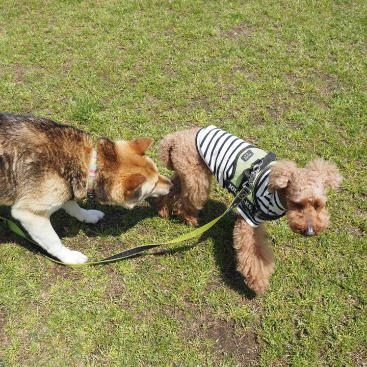 E9f1ed01 5083 40a7 92e5 13e50a58a0d5