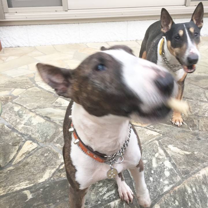 E9f26f99 231a 4690 9de2 866f350034c9