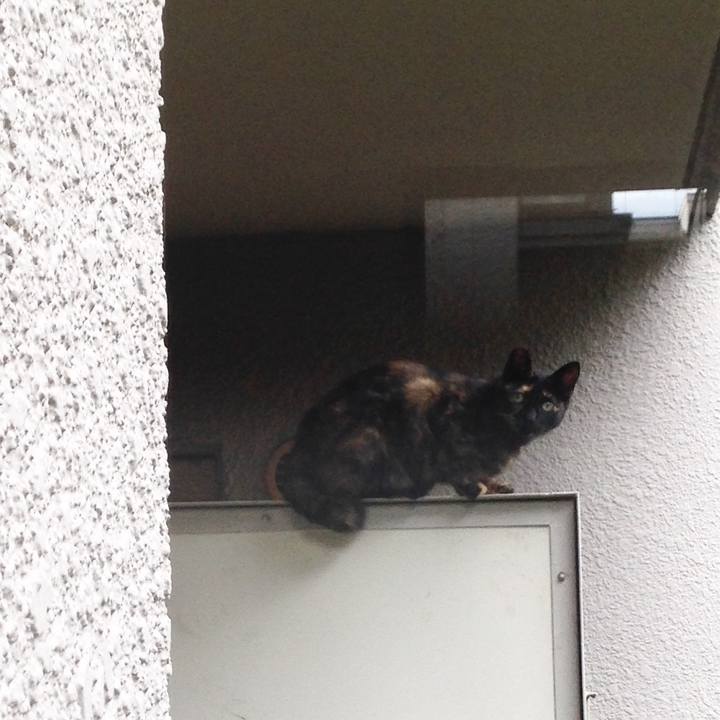 E9f270d0 f6ae 47f3 8539 2ba4e82fff0f