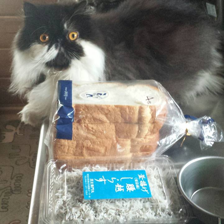 E9f30990 d180 4889 a307 300ee977afd5