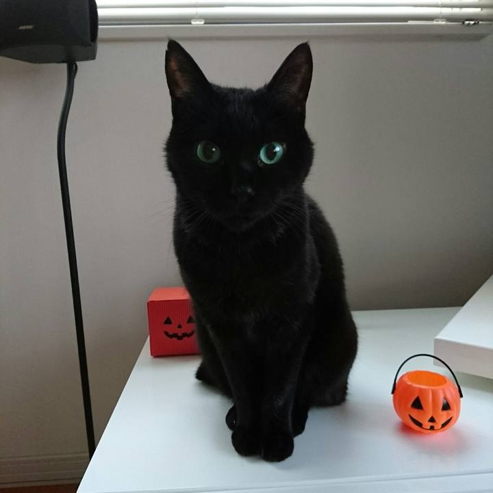 E9f390e0 da63 4c55 8d66 1867fd4e6085