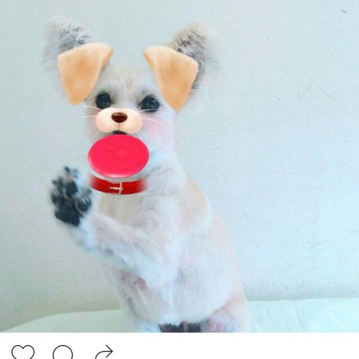 E9f4c675 7a7e 4316 b99a c67941c199e8