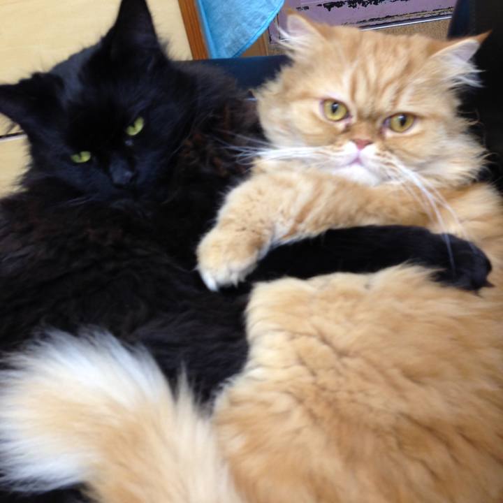 E9f51742 35d2 42f3 bbf5 bb2eedfa8963