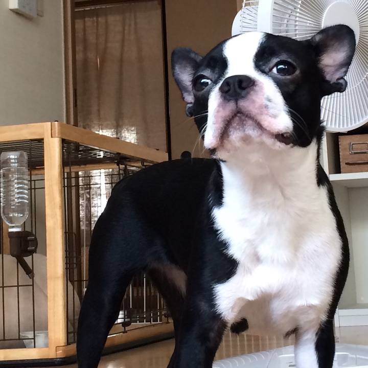 E9f52077 40b0 463a af38 266e413909da