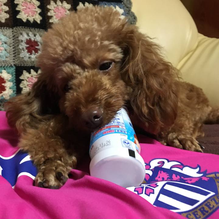 E9f54d7c 6876 4982 8973 9911eed76f74