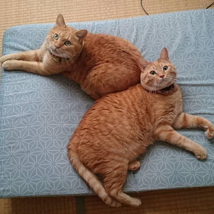 E9f5d83c 1847 4cce 9859 ae6fbb4c5a1c