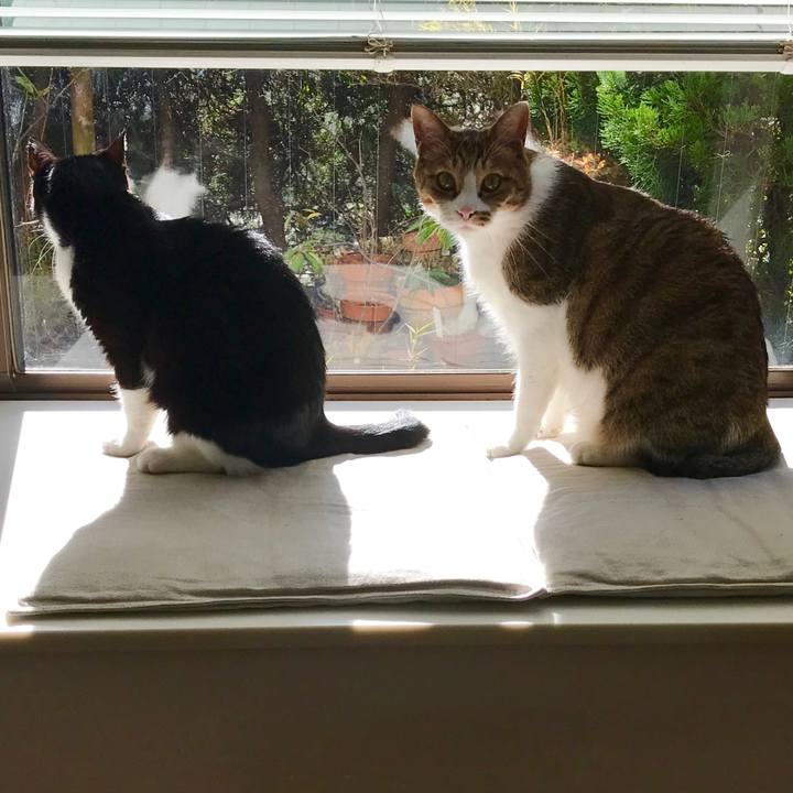 E9f6048d 4693 405f 9d3a a1d493b953a1