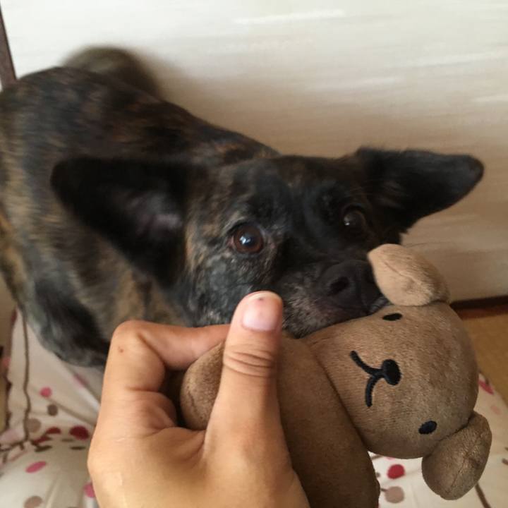 E9f6312e 79a3 48ef b75c 9416a2c37a32