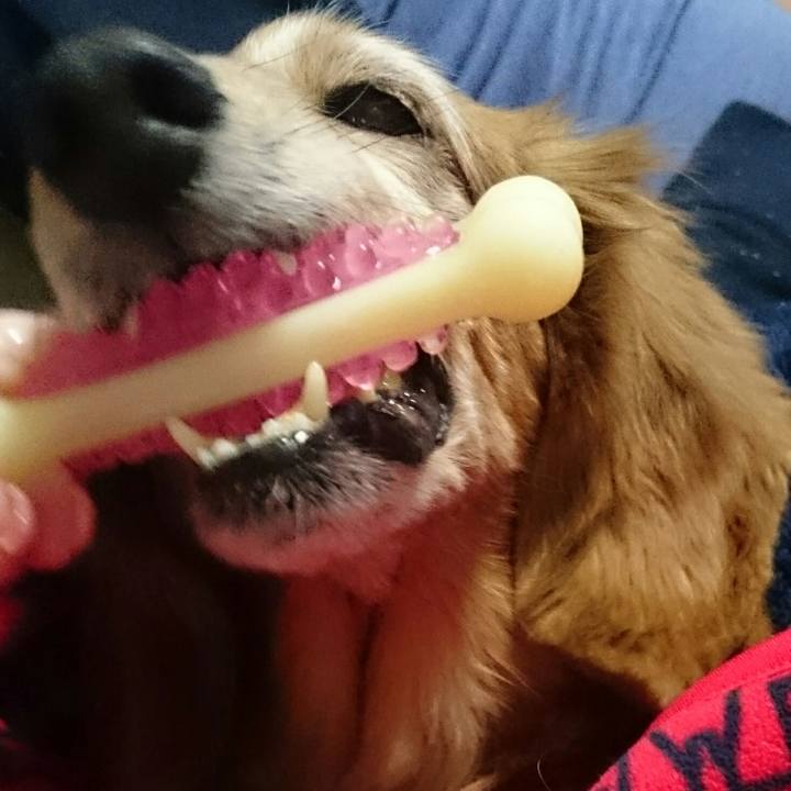 E9f68062 e479 4e19 b2cf 9e9b8b8370b5