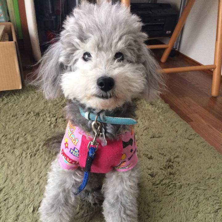 E9f70b60 ccec 413f 8d96 92dcecbe40cb