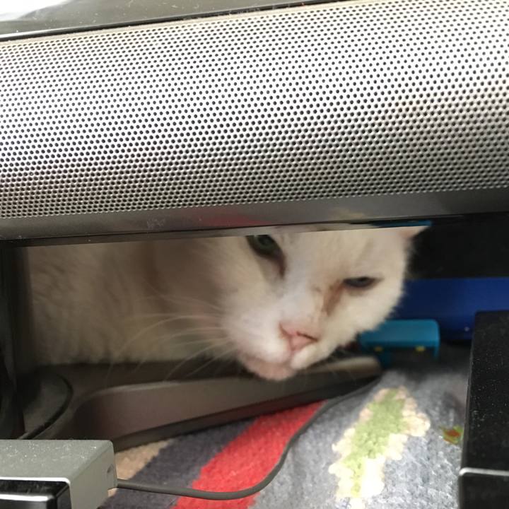 E9f759f7 daf5 4aea 8921 1c5065b4ed16