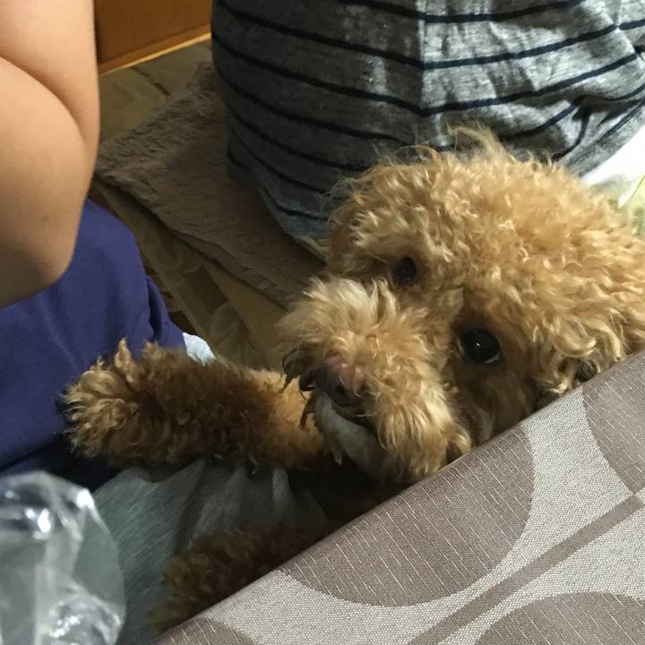 E9f7689f 232c 42fb 8865 7595ed2d28ec