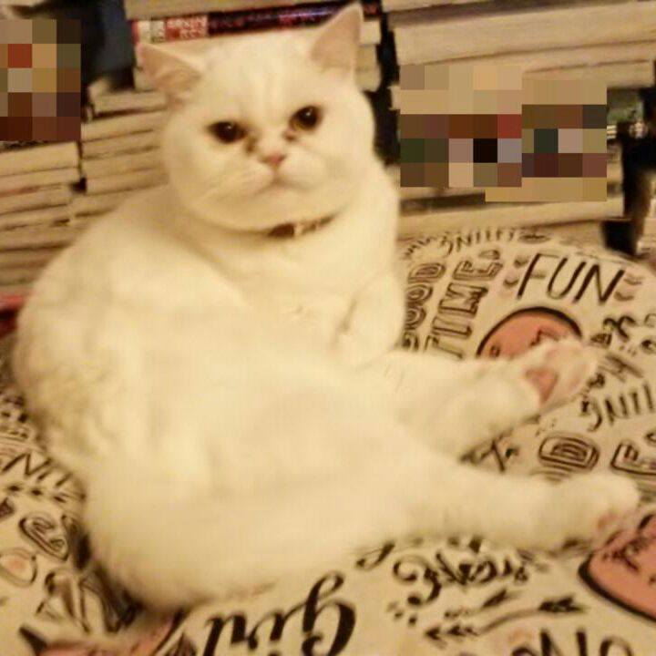 E9f77a48 2c57 42e8 afd4 752759538c4f