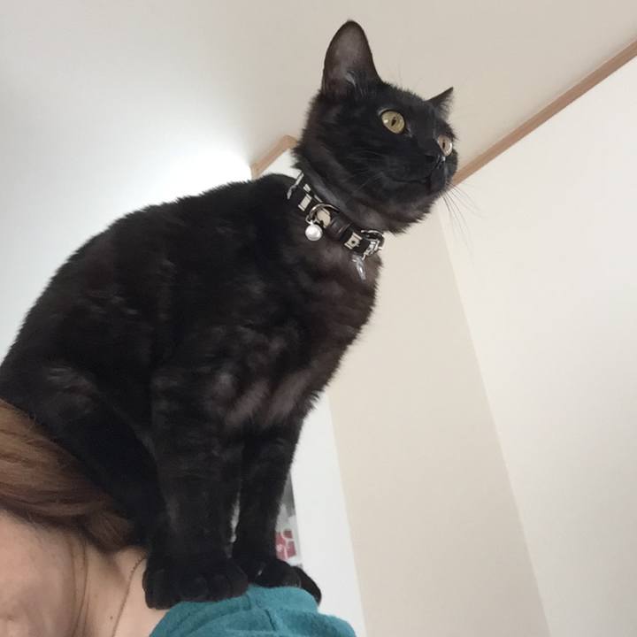 E9f7871c 56bf 493d a049 cab4306b33be