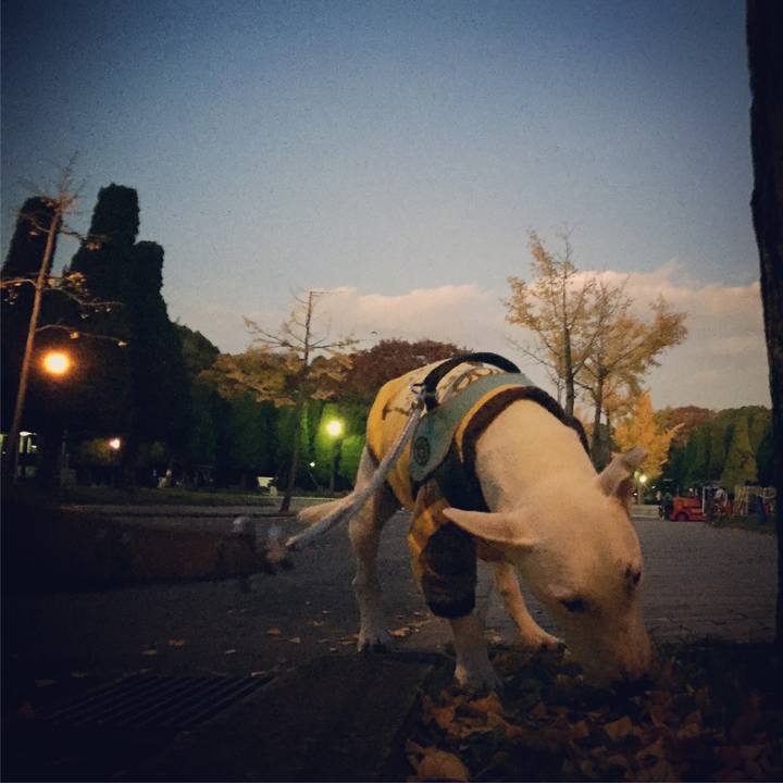 E9f7ef33 4265 4e23 8cf7 35585ab3184e