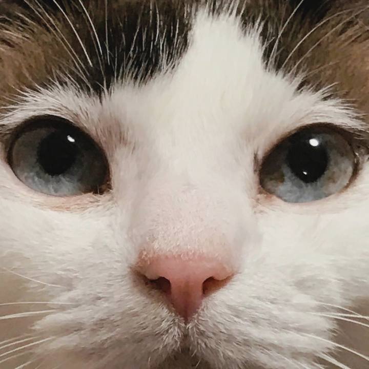 E9f84d65 01ba 4dba af9b f5bf0329aff2