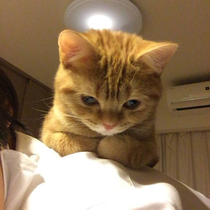 E9f8884c ab67 41f8 8ca8 ceed5c2349c3