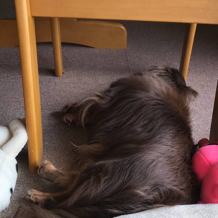 E9f8cd3e 6f4f 4135 8d76 892887722db2