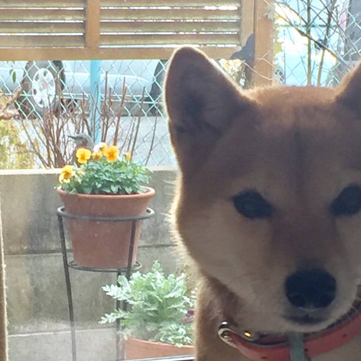 E9f8e27f 844c 4851 a20e 9a74e35d9ae6