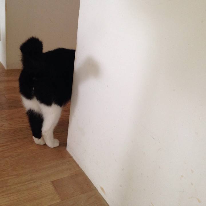 E9f9a2d1 25d8 456b 9996 08718aea57d3