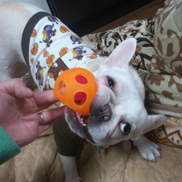 E9f9cf6e f6a5 4887 994b 95072135c78d