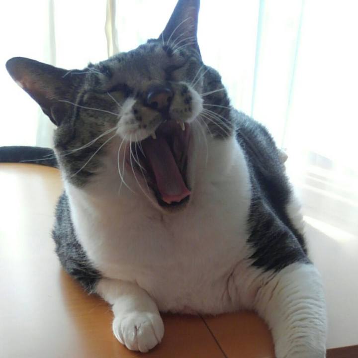 E9f9db76 e6a0 4ec9 af14 f30a80600047