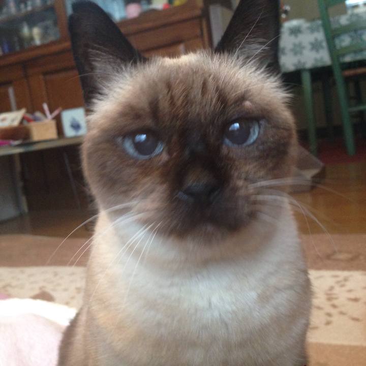 E9fa18c4 01dc 473c 8514 93de694d6883