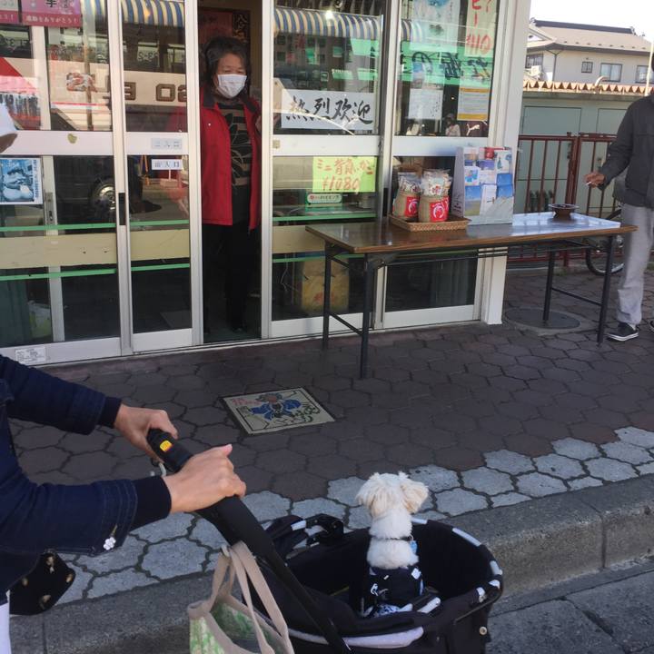 E9fa284a 7b3b 40f1 8c9c ae087f3eb070