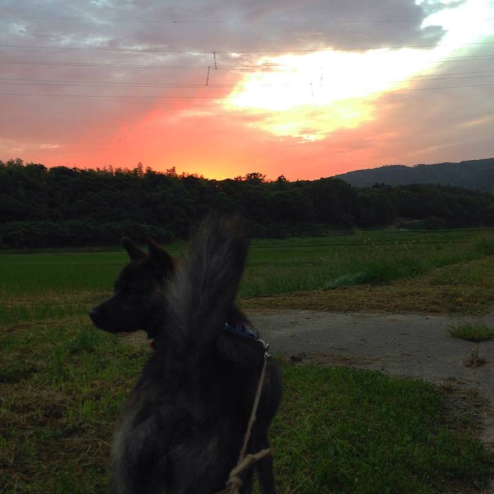 E9fadc4a f7aa 4a85 9721 db3290b255c9