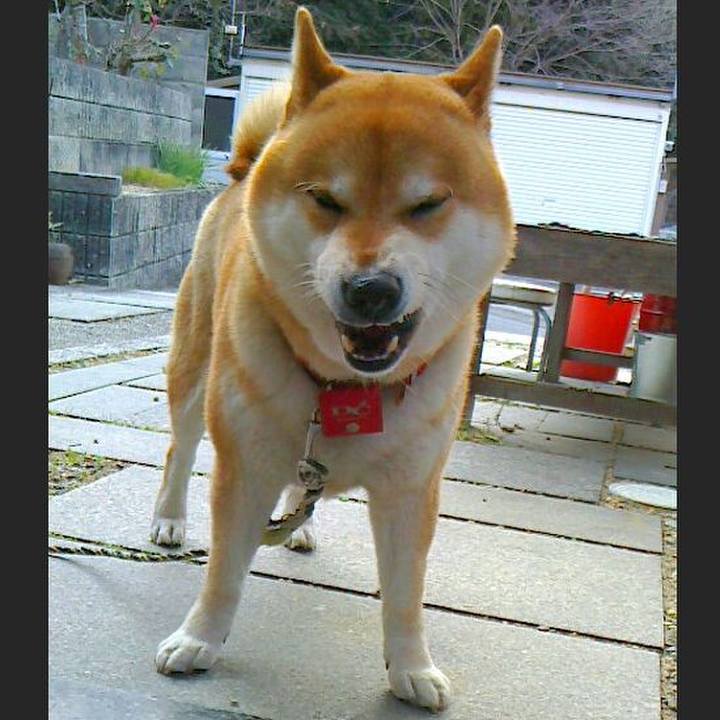 E9fb455b 4474 4069 8ba6 ecf8dede84d3