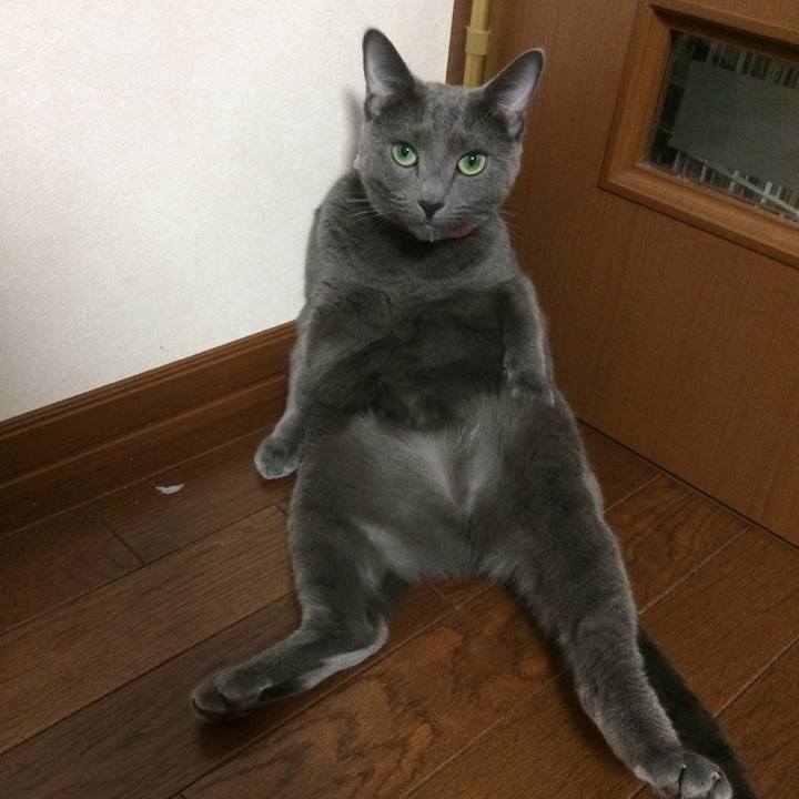 E9fbd2c5 3984 489c ae2d 28d298489616