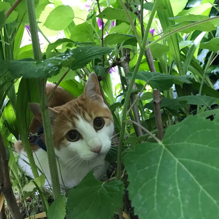 E9fbd5c6 c80f 4249 9fc7 f272c502a6e4