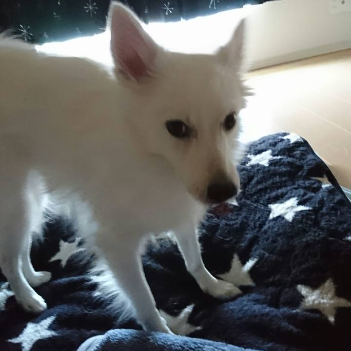 E9fbe7ee 8486 4845 bad1 fe678e89fb9f