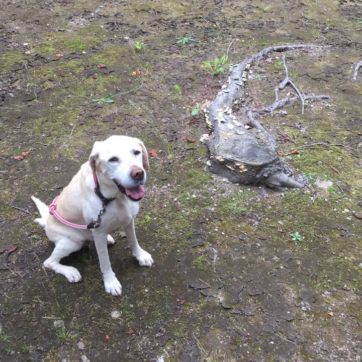 E9fbe972 cca3 45ae a4eb 8622ca4b68ad