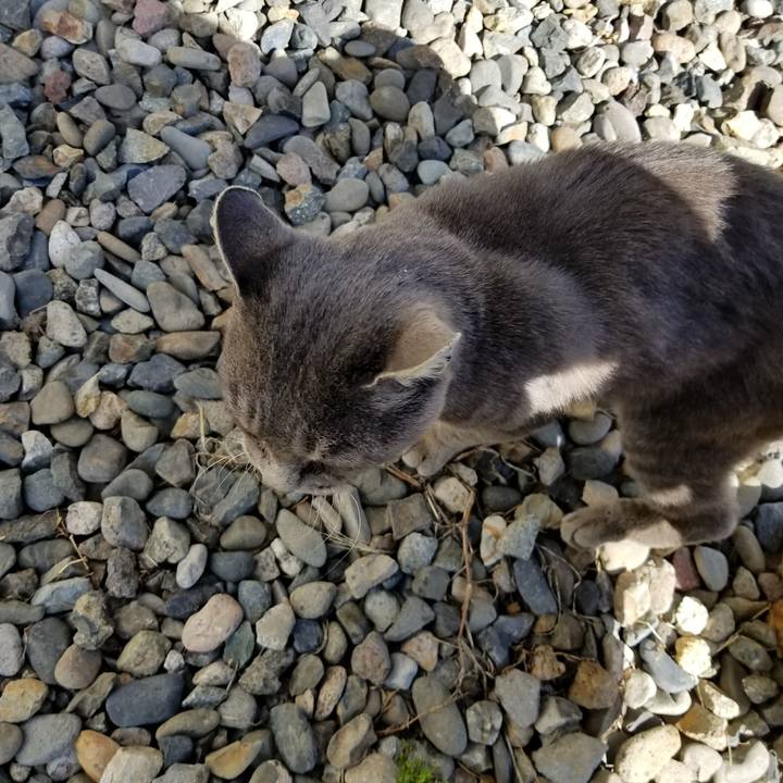 E9fc0de2 5191 405c 98c9 01d4e8838f60