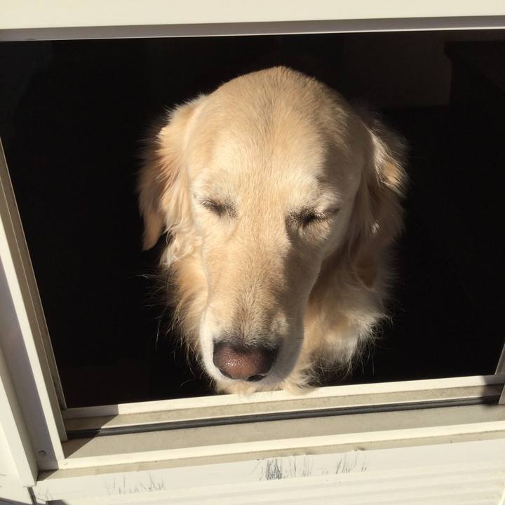 E9fc1859 0956 4c43 9740 fea34760627f