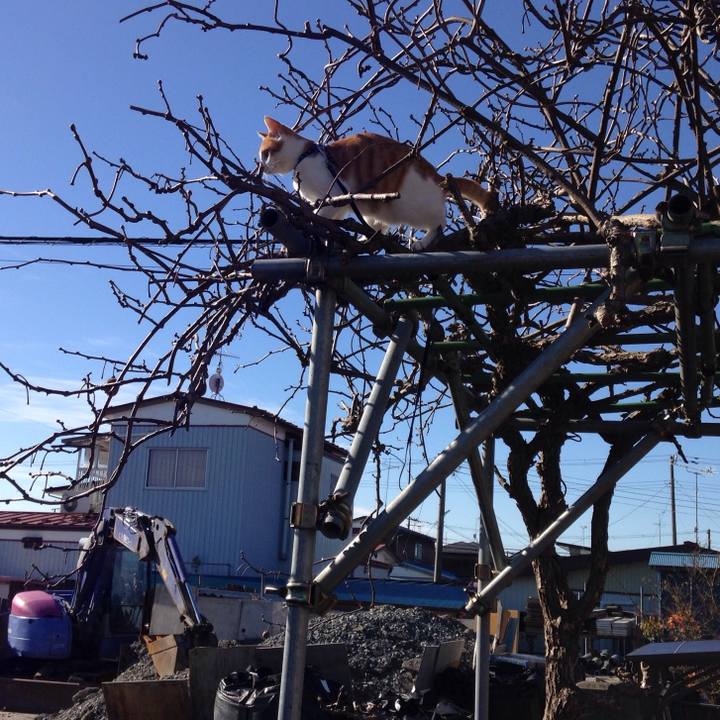 E9fc958d 33b5 4413 a125 ce49fe3a50ac