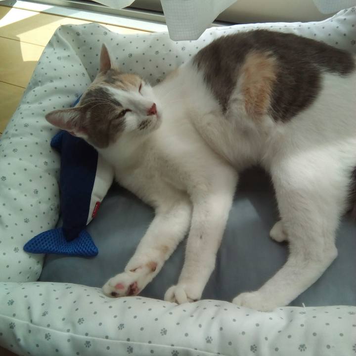 E9fccda2 aded 44ff b041 8cf06d5aa69a