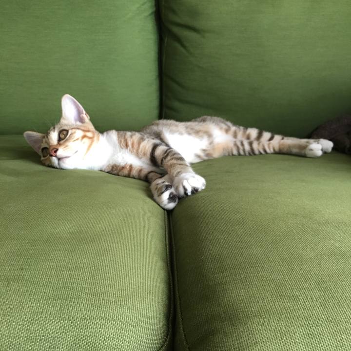 E9fcd044 f3ac 4b0e 9252 a106a17f0ff6