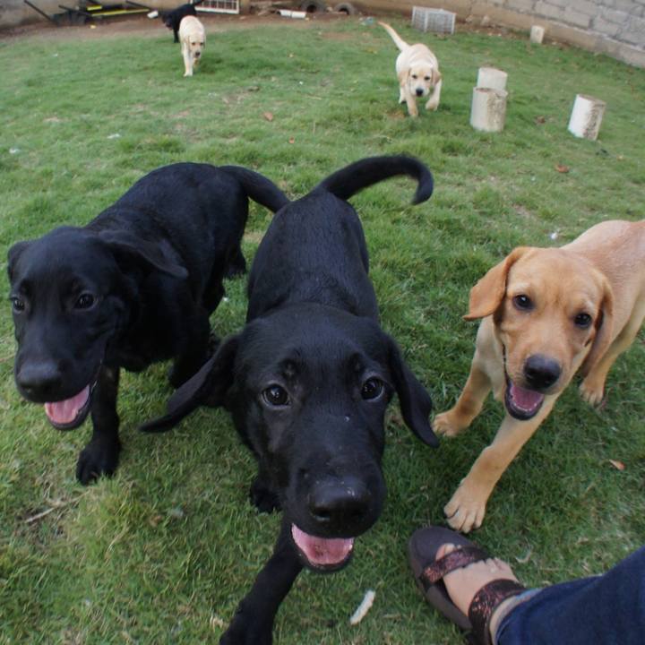 E9fd1ebc b5f3 45f9 bce3 850cbeca7cd3