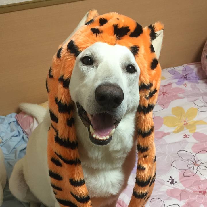 E9fd868b 6e91 4607 a167 02334d7dc2ff