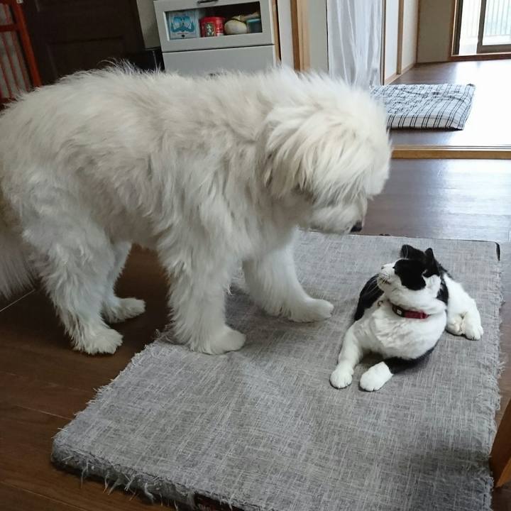 E9feaadf 163c 43a3 a7f8 fa9bed023a37