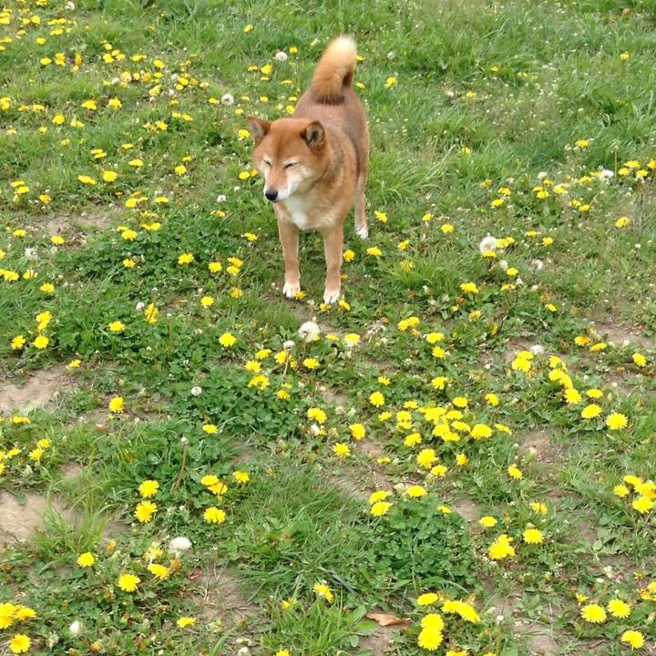 E9febbee d7f1 4b89 96d3 a11c00b9470f