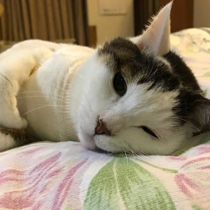 E9fee1ef 5307 48a9 b21f 597eadfd2f60