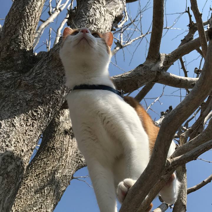 E9ff7c1b 5193 4069 9f1c 5701e32f6722