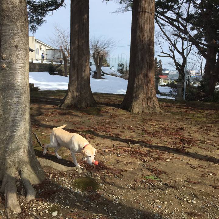 E9ffd39b 7ce2 47ae 9510 9c179b0ad1b9