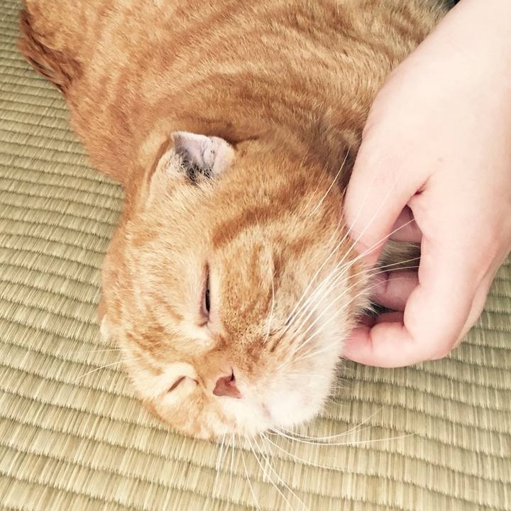 Ea002d62 9184 4f8e b06e 8c662d0c6295