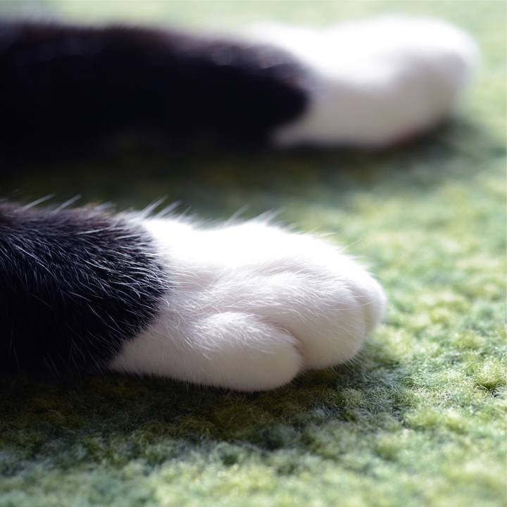 Ea005ecb 21dd 4a72 937d 9b127825dbf8