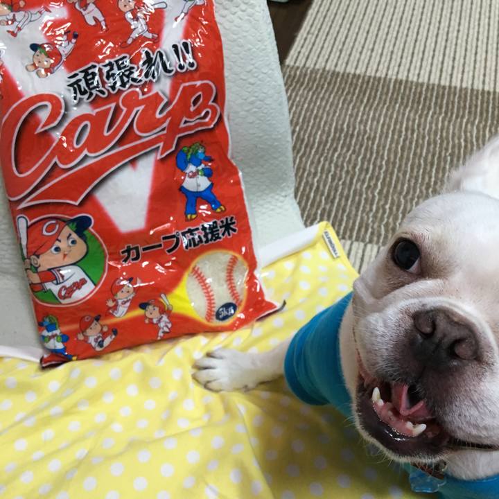 Ea006559 bdaf 4b3d 8562 cc1fec04af8a