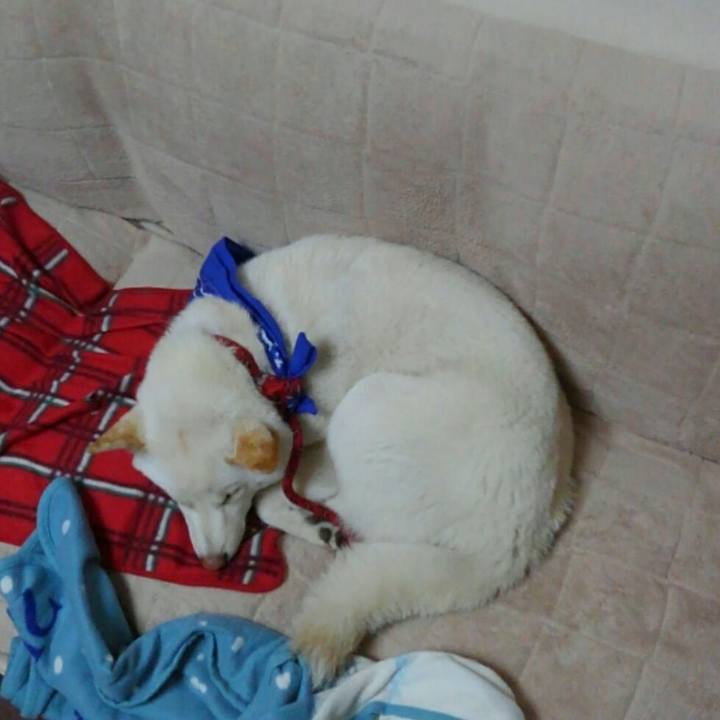 Ea00dcef adee 47e7 87bb 5ae80637d95f